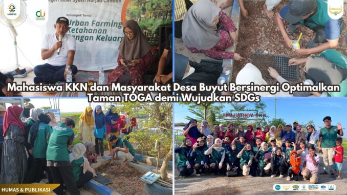Design juli-desember 2025 (1)